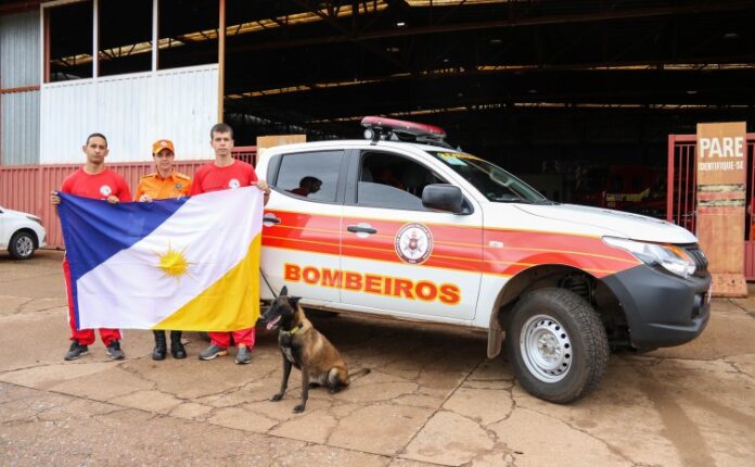 bombeiros