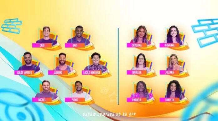 treze-particiapntes-bbb-1