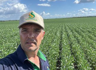 2ª safra no TO exige estratégia diante de desafios no campo, avalia Aprosoja