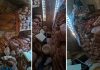 Três presos são suspeitos de cavar túnel em presídio no Tocantins; investigação apura entrada de materiais