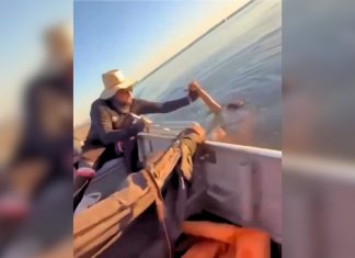 Homem é salvo de afogamento por pescadores no Lago de Palmas; veja vídeo